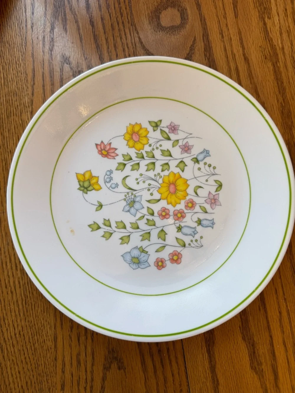 Vintage Corelle 3 Dinner Plates and 3 dessert plates Set - spring meadow - Picture 13 of 17